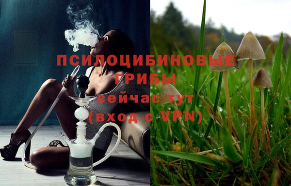 первитин Абинск
