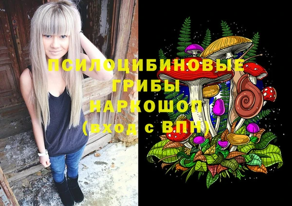 соль курить ск Няндома